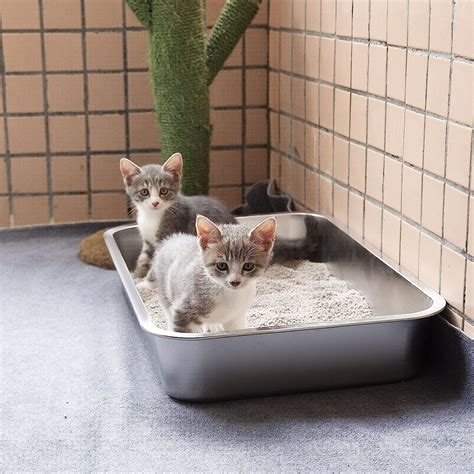 yangbaga stainless steel litter box|Yangbaga Stainless Steel Pet Litter Box, Odor .